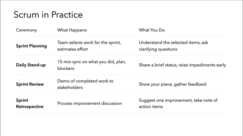 nemotron-nano slide 6